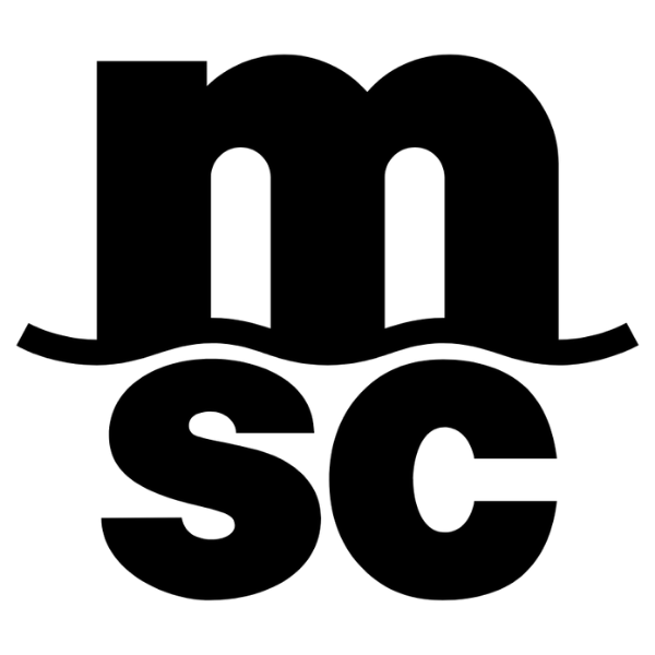 MSC Holding